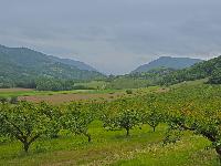 Bild 16 (13 Bildaufrufe)