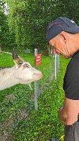 Bild 10 (3 Bildaufrufe)