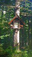Bild 1 (31 Bildaufrufe)