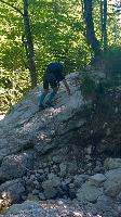 Bild 2 (31 Bildaufrufe)