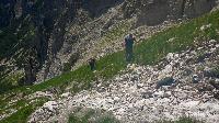 Bild 8 (32 Bildaufrufe)