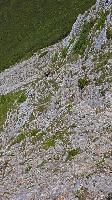 Bild 14 (35 Bildaufrufe)