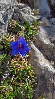 Bild 25 (32 Bildaufrufe)