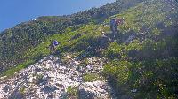 Bild 28 (33 Bildaufrufe)