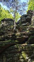 Prinz-Schönburg-Felsen (34 Bildaufrufe)