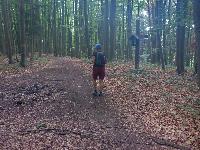 Bild 9 (5 Bildaufrufe)