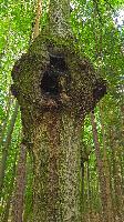 Bild 10 (5 Bildaufrufe)