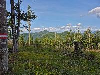 Bild 9 (30 Bildaufrufe)
