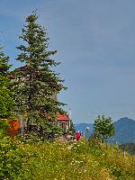 Bild 11 (26 Bildaufrufe)