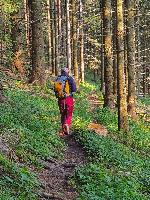 Bild 12 (29 Bildaufrufe)