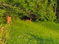 Bild 13 (26 Bildaufrufe)