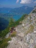 Sparber (38 Bildaufrufe)