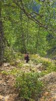 Bild 24 (9 Bildaufrufe)