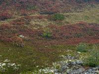 Bild 2 (1 Bildaufruf)