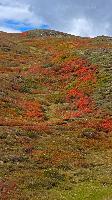 Bild 10 (1 Bildaufruf)