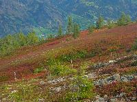 Bild 12 (1 Bildaufruf)