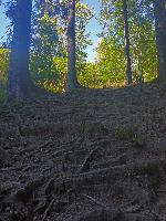 Bild 1 (23 Bildaufrufe)