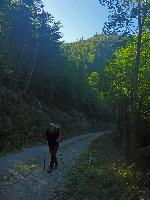 Bild 2 (24 Bildaufrufe)