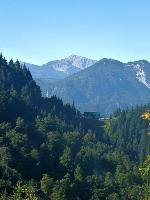 Bild 3 (25 Bildaufrufe)