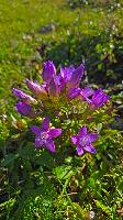 Bild 6 (25 Bildaufrufe)