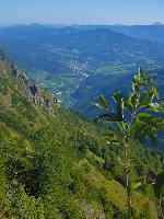 Bild 9 (26 Bildaufrufe)