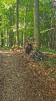 Bild 1 (14 Bildaufrufe)