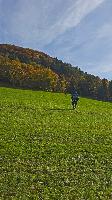 Bild 1 (14 Bildaufrufe)
