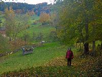 Bild 6 (14 Bildaufrufe)