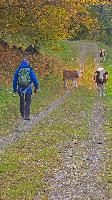 Bild 7 (13 Bildaufrufe)