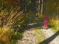 Silberne Birn (15 Bildaufrufe)