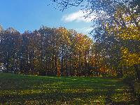 Kuhberg (13 Bildaufrufe) Kuhberg (13 Bildaufrufe)