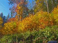 Rudolfshöhe (2 Bildaufrufe)