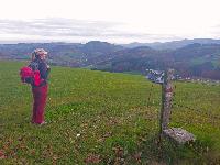 Bild 4 (17 Bildaufrufe)