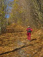 Bild 1 (6 Bildaufrufe)