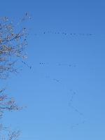 Kaiserkogel (7 Bildaufrufe) Kaiserkogel (7 Bildaufrufe)