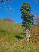 Bild 6 (7 Bildaufrufe)