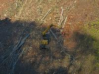 Bild 9 (7 Bildaufrufe)