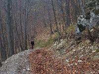 Bild 4 (13 Bildaufrufe)