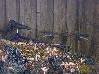 Bild 3 (5 Bildaufrufe)