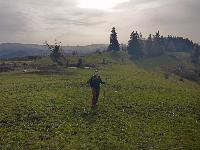 Bild 4 (5 Bildaufrufe)