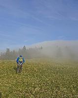 Frankenfelsberg (4 Bildaufrufe) Frankenfelsberg (4 Bildaufrufe)