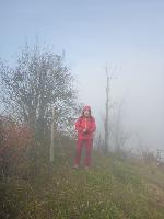 Bild 10 (4 Bildaufrufe)