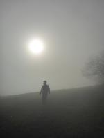 Bild 11 (4 Bildaufrufe)