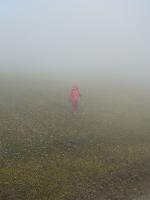 Bild 12 (4 Bildaufrufe)