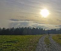 Bild 13 (4 Bildaufrufe)