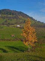 Fronberg (4 Bildaufrufe) Fronberg (4 Bildaufrufe)