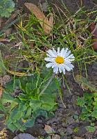 Bild 3 (4 Bildaufrufe)