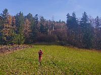 Bild 4 (3 Bildaufrufe)