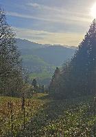 Bild 6 (2 Bildaufrufe)