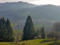 Bild 9 (2 Bildaufrufe)